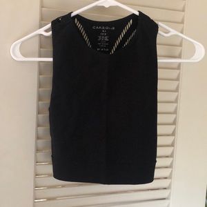 Carbon 38 crop top